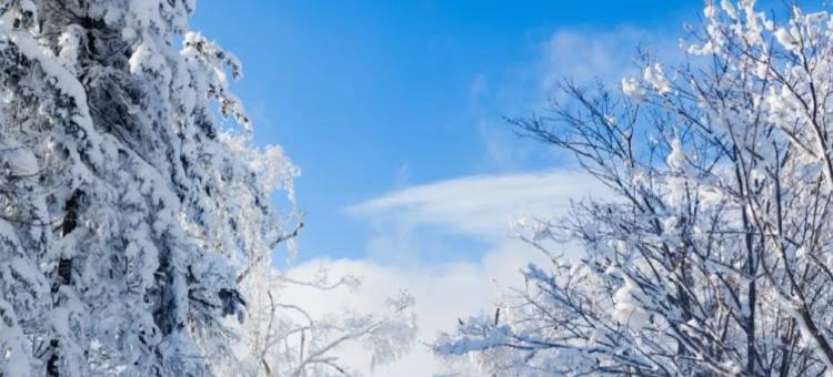 观林雪居客栈(中国雪谷风景区店)图片