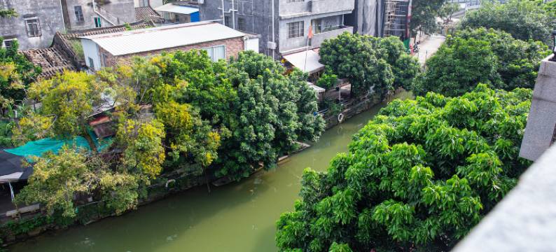 我家民宿(逢简水乡店)图片