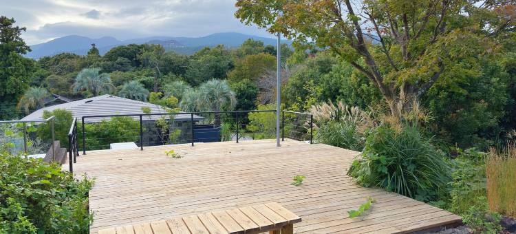 伊豆高原天然温泉旅馆 艺家(arts-inn)图片