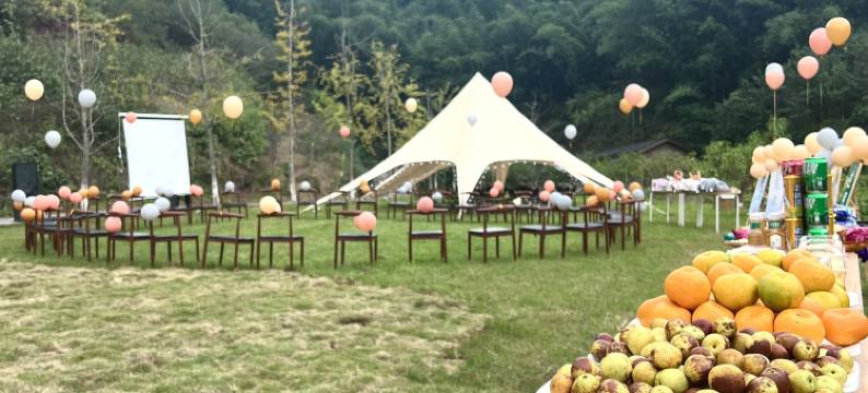 醉墨耕艺民宿(李庄古镇店)图片