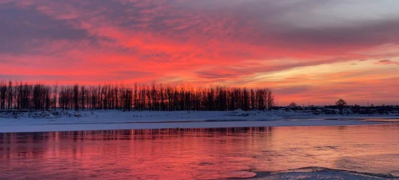 珍宏客栈(雾凇岛景区店)图片