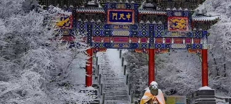 老君山|森木语.FOREST LANGUAGE民宿(中灵索道店)图片