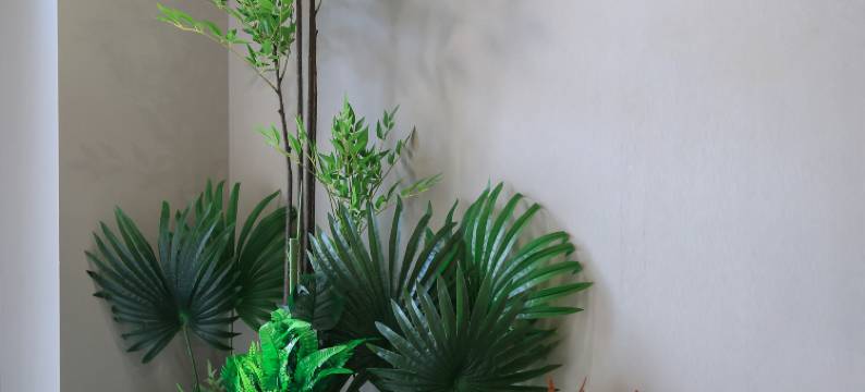 驿家365连锁酒店(石家庄勒泰中心和平路店)图片