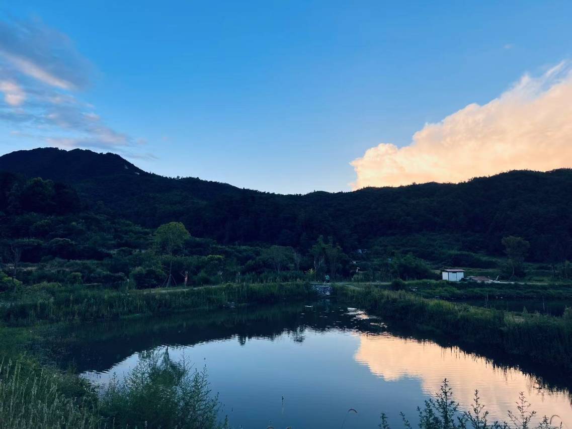 向野而生(赣州崆峒宿集店)图片