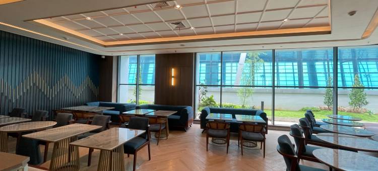 Grand Anara Airport Hotel图片