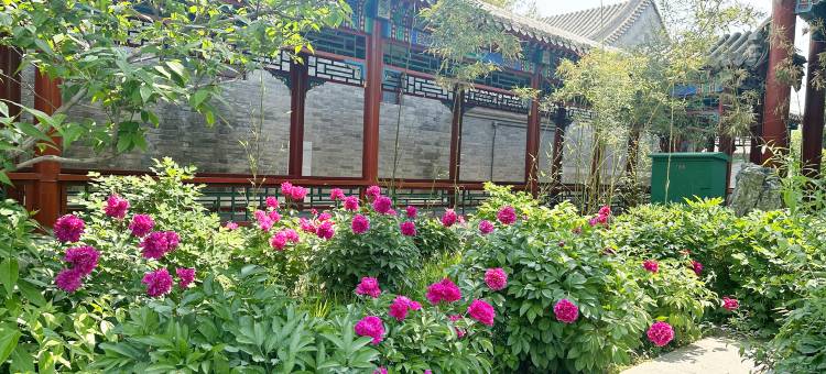 朗丽兹太和府酒店图片