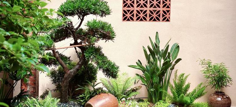 栖隅·楠墅民宿(西街开元寺店)图片