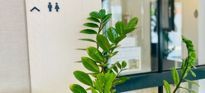 拉利瓦精品酒店(La Riva Boutique Hotel)图片