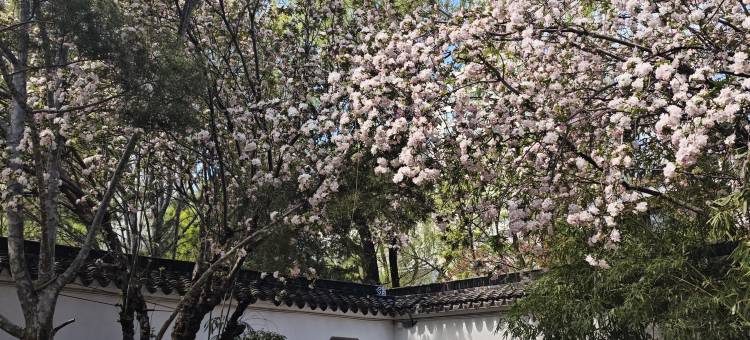 北京东湖别墅图片
