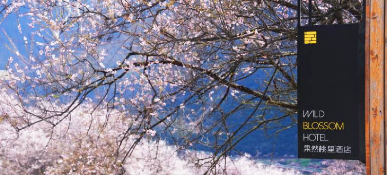 果然桃里酒店(林芝波密店)图片