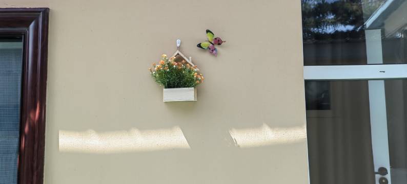 伊康源宾馆图片