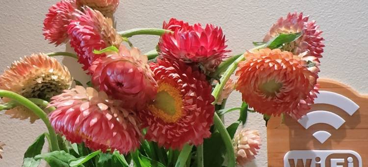 拾玖号小院・蓝缬｜Bai Courtyard・全屋智能精品美宿(喜洲古镇店)图片