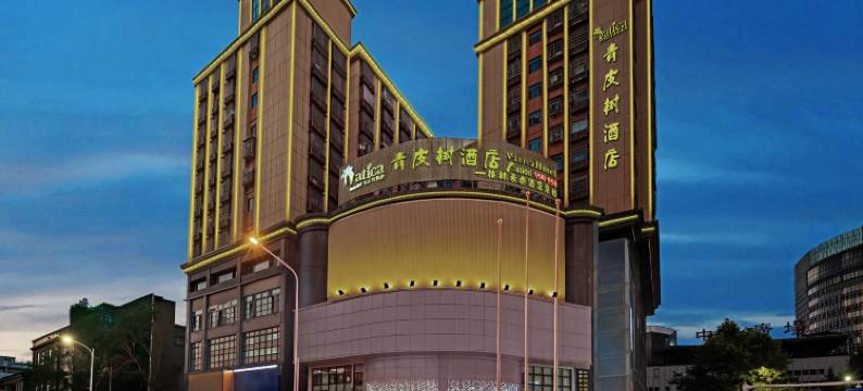 青皮树酒店(岳阳楼步行街店)图片