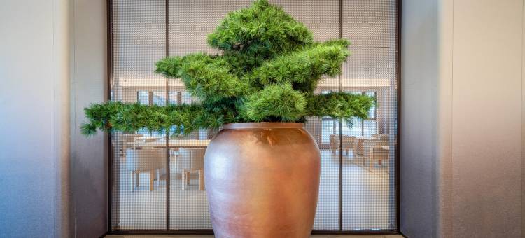 全季酒店(朱家尖蜈蚣峙码头观音法界店)图片