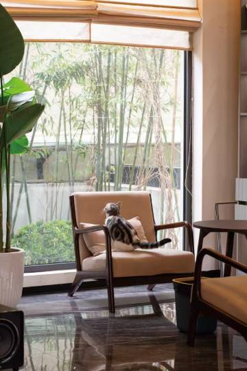 上野山涧庭院山居图片