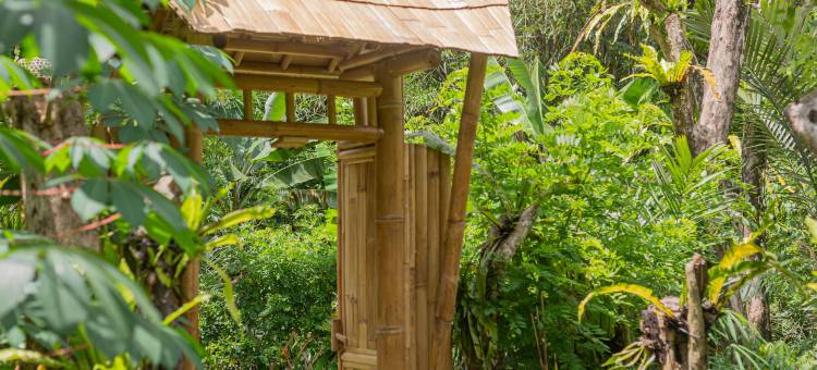 Arcada巴厘竹屋(Arcada Bali Bamboo House)图片