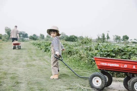 西塘壤居酒店图片
