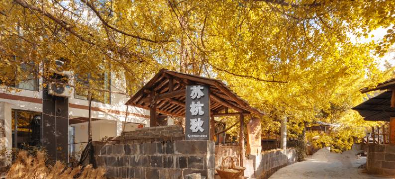 腾冲银杏村伊珍.苏杭秋温泉客栈图片