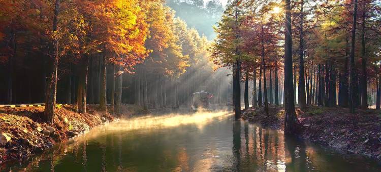 半亩梯田星空泳池度假美宿(皖南川藏线店)图片