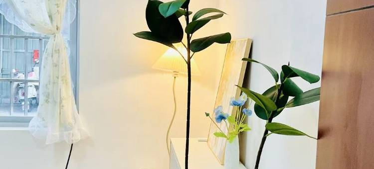 吾家小院民宿(勉县店)图片