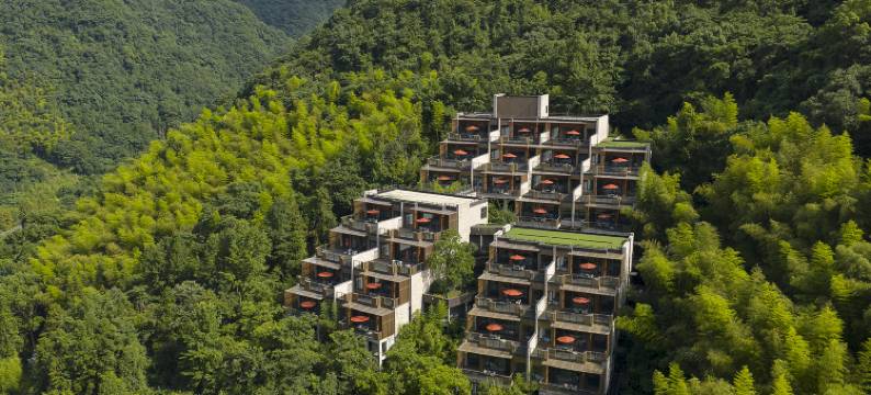 宁波宁海安岚图片