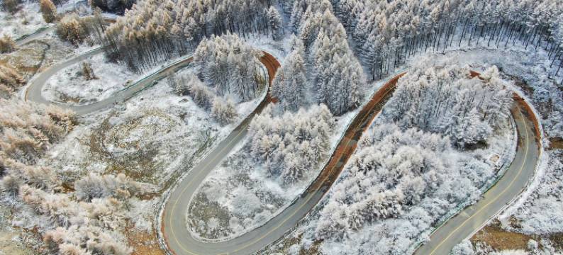 张家口崇礼曼松林民宿图片