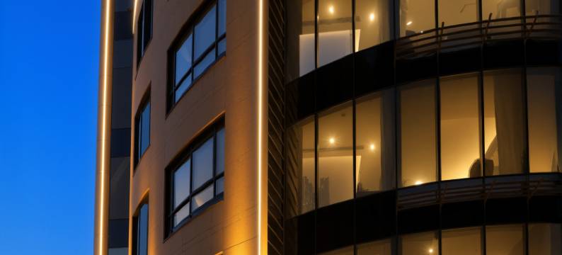 庐艺酒店(华人酒店)(Luyi Hotel)图片