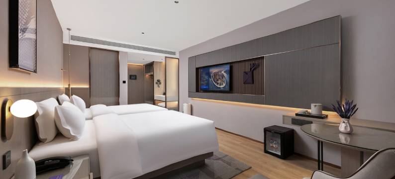 麗枫酒店(商洛市政府万达广场店)图片