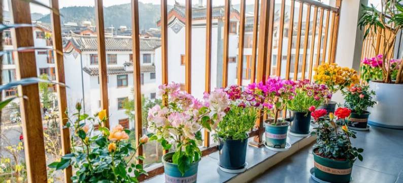 净瑞·智慧酒店(峨山古镇店)图片