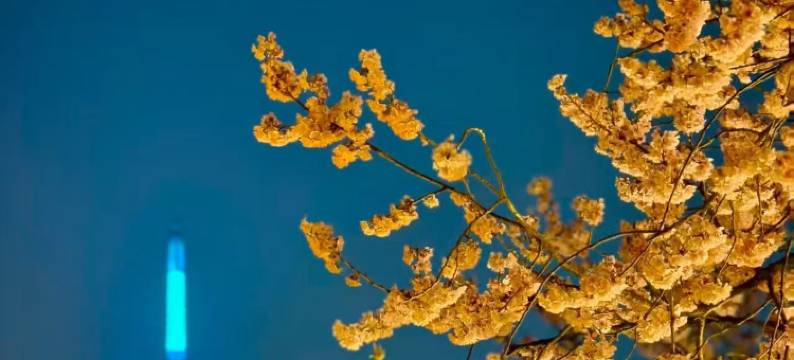 武汉楚河汉街东湖莱斯丽呈华廷酒店图片