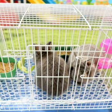 曲阜夫子宾舍家教文化中式庭院别墅(三孔景区店)图片