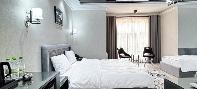 德维拉酒店(De Villa Hotel)图片