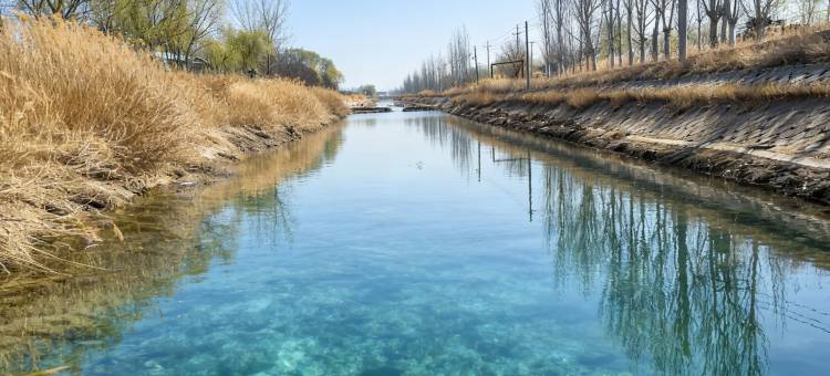 中卫沙坡头区沙屿石非遗民宿(机场店)图片