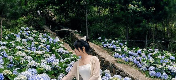 新丰岭南红叶世界图片