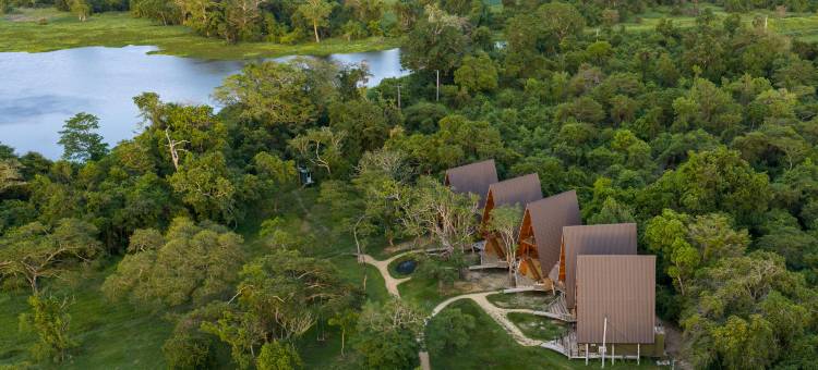 威尔帕图野生动物园度假村(Wilpattu Safari Resort)图片