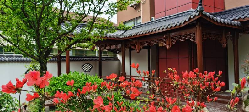 心甘琴院民宿图片