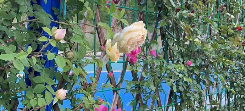 遇见黄柏塬驿站图片