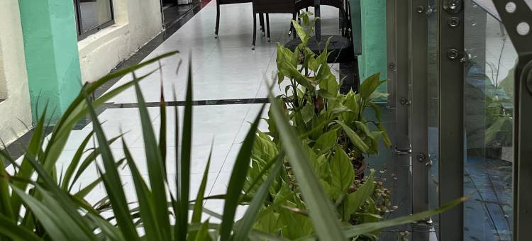 月心酒店(邻水宏帆店)图片