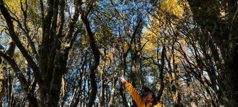 兰坪墅家吾乡罗古箐徒步民宿图片