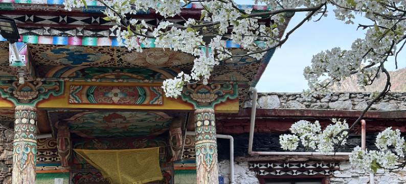 丹巴阿本藏家休闲山庄图片