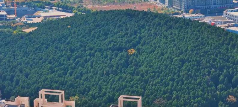 泰安春秋假日宾馆图片