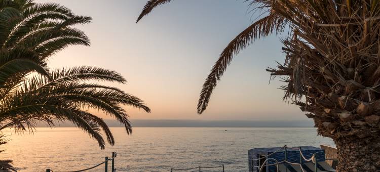 潘达德雷酒店(Catalonia Punta del Rey)图片