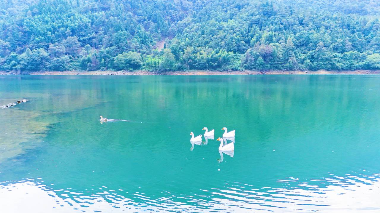 花筑·井冈山溪林心居民宿图片