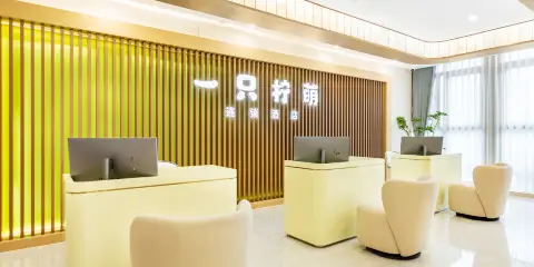 一隻檸萌精品酒店(西湖湖濱武林夜市店)
