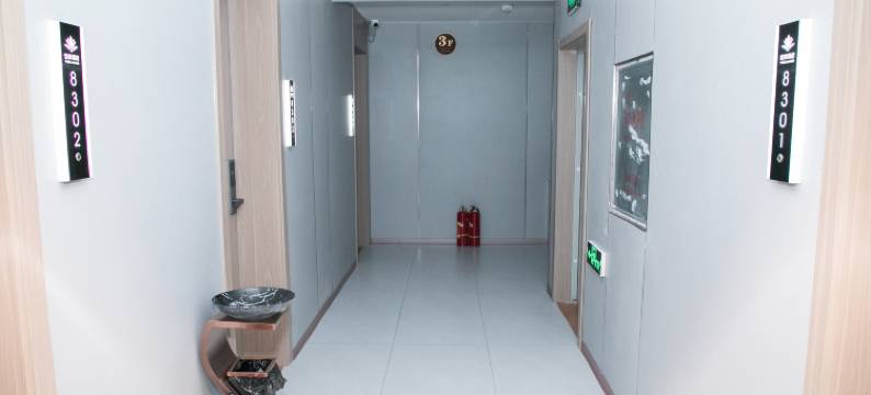 谊美精智酒店图片