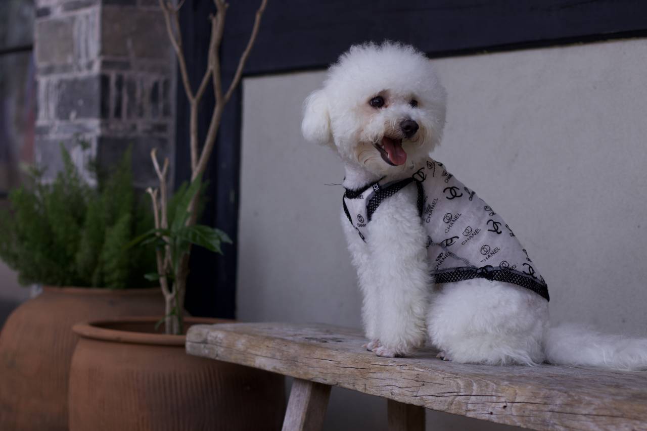 大乐之野·勿舍(宁波店)图片