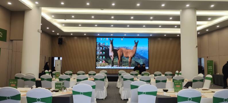 雅安跃华茶文化酒店图片