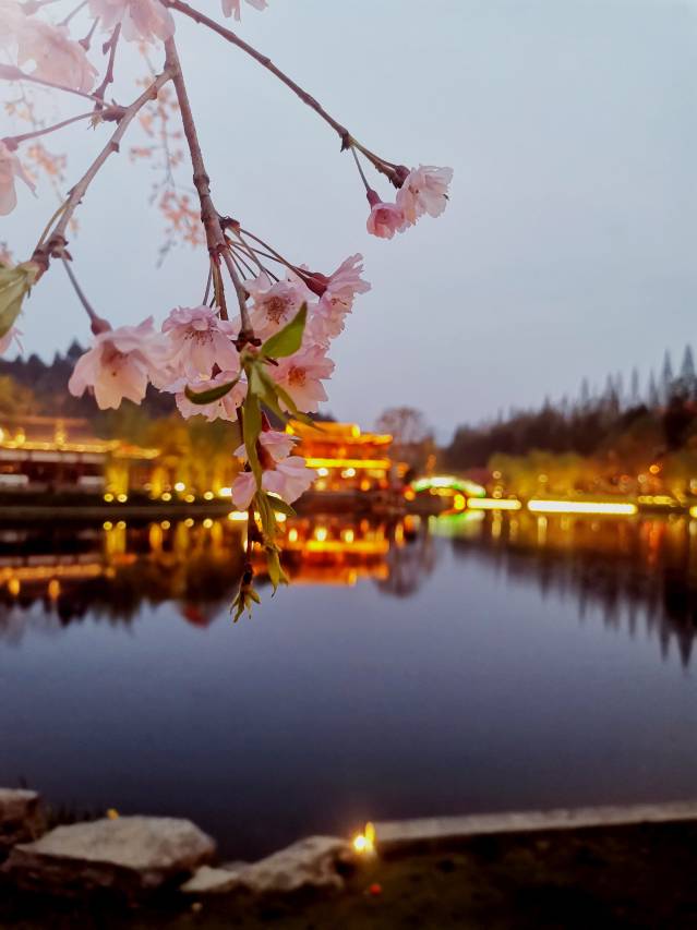 江西长天翠湖宾馆(井冈山革命博物馆店)图片