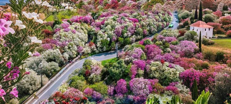 黔花之筑·巨幕轻奢花海酒店(黔西高铁站步行街店)图片