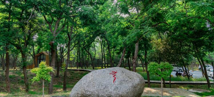 日照松海云舍图片